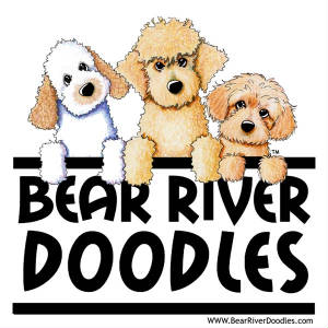 Bear River Doodles